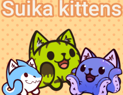  Suika Kittens