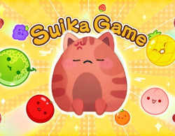 Suika Cat Game