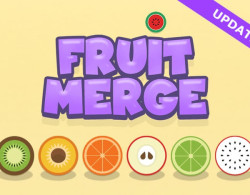 Suika Fruit Game